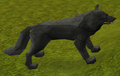 Thumbnail for version as of 23:19, 8 January 2024