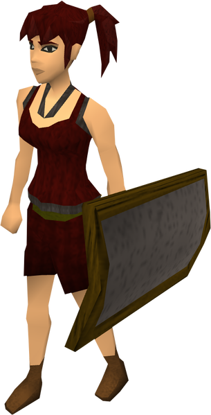 File:Iron sq shield equipped old.png