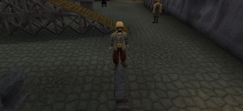 File:Armour Store.png