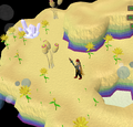 Thumbnail for version as of 23:20, 8 January 2024