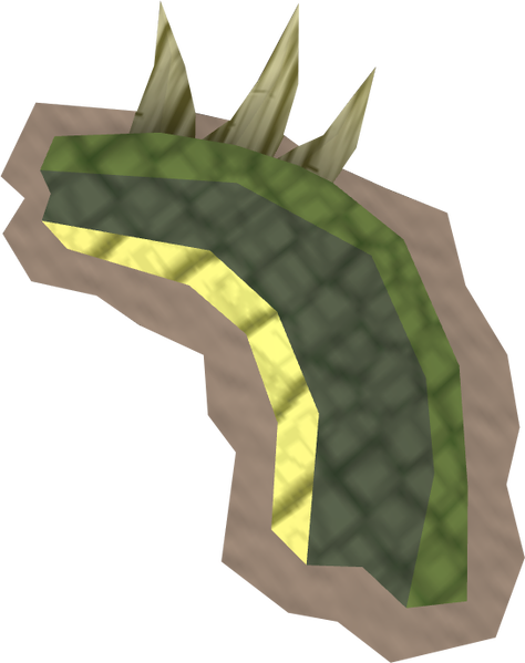 File:Tanned cockatrice skin detail.png