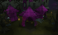 Thumbnail for version as of 23:27, 8 January 2024