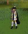 A player performing the old Thieving cape emote before its graphical update on 25 May 2010.