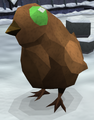 A chocochick in the Easter egg
