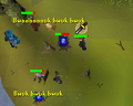 Random Events disrupting woodcutters in Draynor.