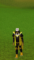 A player performing the Prayer cape emote (click to play).