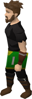 A player with a Guthix's book of balance equipped.