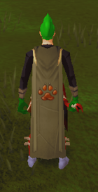 A player wearing a Hunter hood.