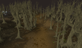 Thumbnail for version as of 23:23, 8 January 2024
