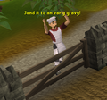 Cook's brother making puns by the fence whilst the player is killing a turkey in the 2009 Thanksgiving event.