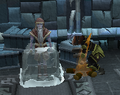 A player unfreezing Skaldrun by lighting a fire.