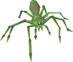 Jungle spider