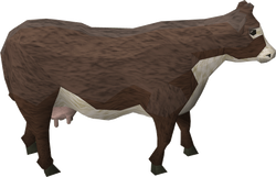 Lumbridge Cow