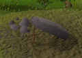 Thumbnail for version as of 23:18, 8 January 2024