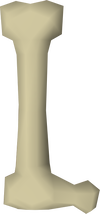 A detailed image of a long bone.