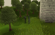 The Knight ghost scout near Falador.