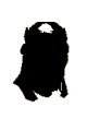 The (previous) silhouette of the emir.