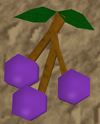 A detailed image of some lergberries.