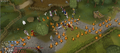 The trail of fire leading to Varrock.