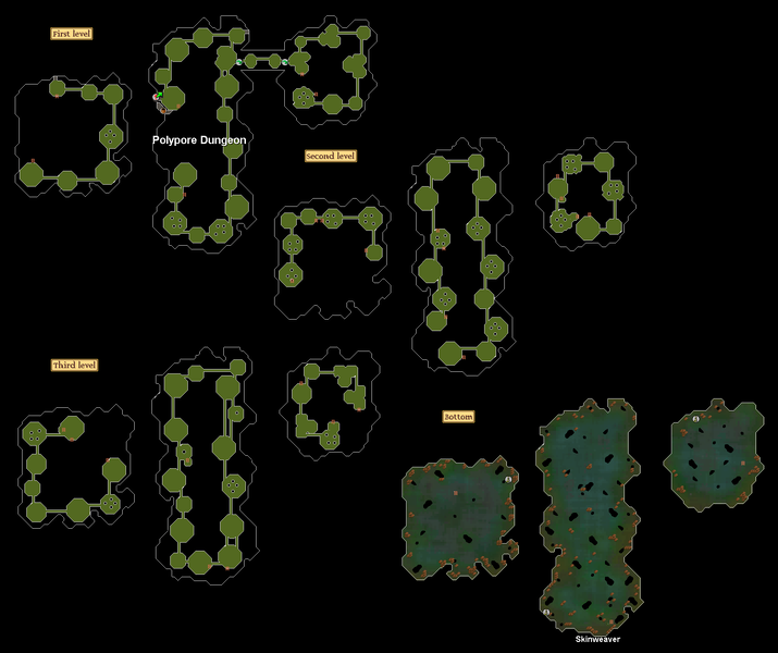 File:Polypore Dungeon map.png