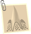 Thumbnail for version as of 23:19, 8 January 2024