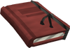 A detailed image of the second compilation of the firemaking journal.