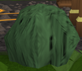 A green Pet Rock