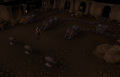 Thumbnail for version as of 23:19, 8 January 2024
