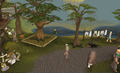 Thumbnail for version as of 23:23, 8 January 2024