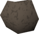 A detailed image of a pet rock