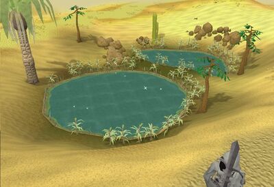 A desert oasis