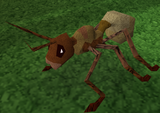 Giant ant worker