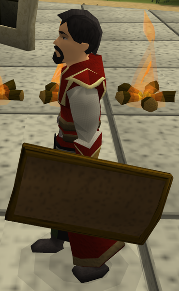 File:Bronze sq shield equipped.png
