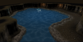 The pool with bubbles before using the Water key