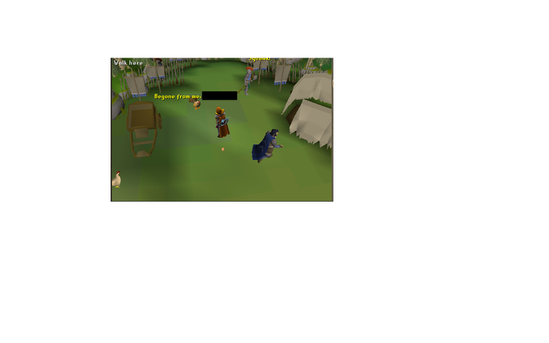 File:Evil chicken attacked me.png
