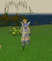 A player performing the Defence cape emote (click to play).