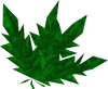 A detailed image of a doogle leaf