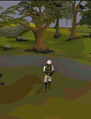 Thumbnail for version as of 23:20, 8 January 2024