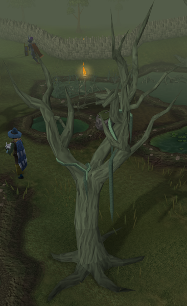 File:Swamp Tree.png